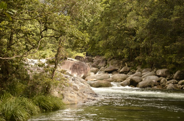 Mossman's Gorge
