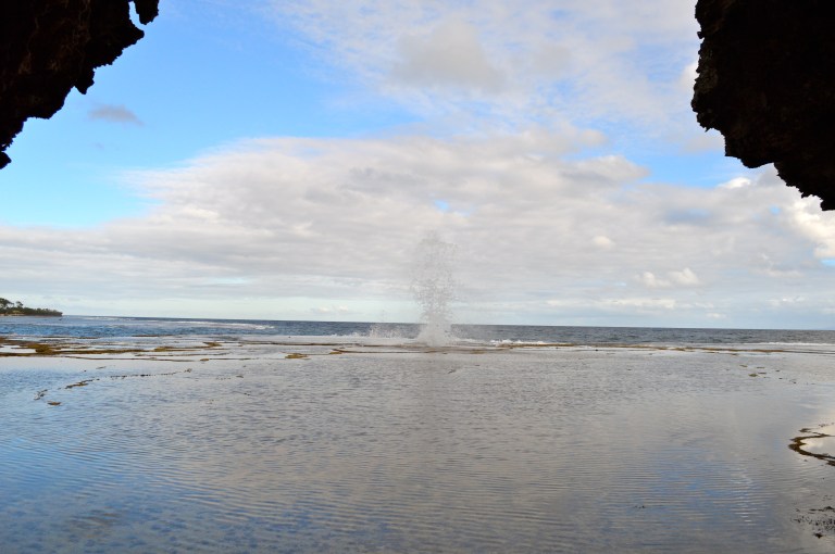 It was so beautiful. The sound of the blowhole spouting was so relaxing. 