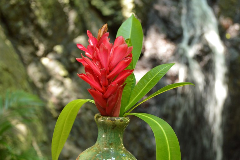 Just working out some of my photography skills! Hey don't judge, I am a beginner! :)