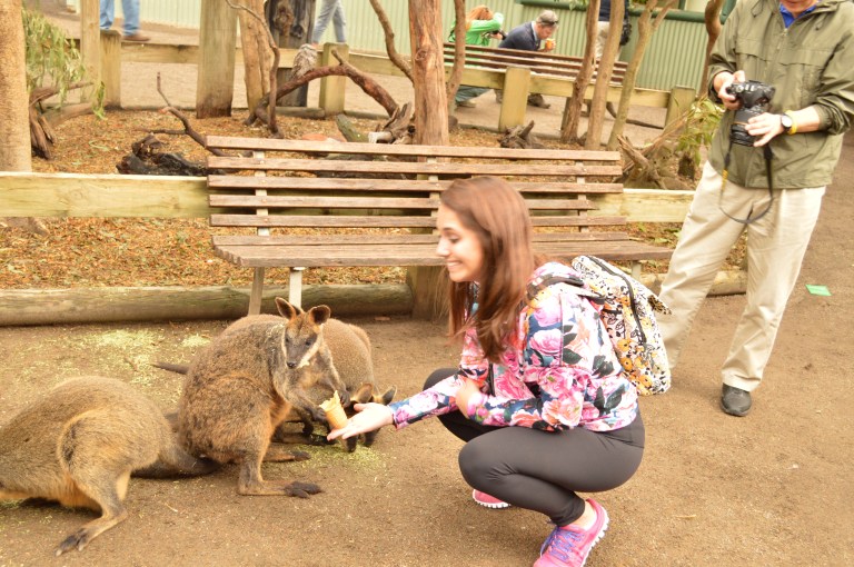 These little wallabies eat hay from ice cream cones. They hold them in between their little hands, and it is sooooo cute. 