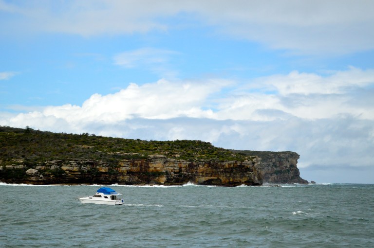The beautiful cliffs on the way to Manly Beach 