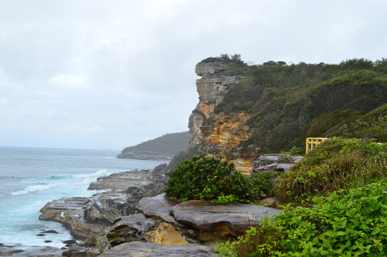 Breathtaking views and cliffs on our walk in Manly. This was my favorite! 