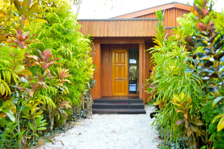 Our tropical pathway to our burre. 