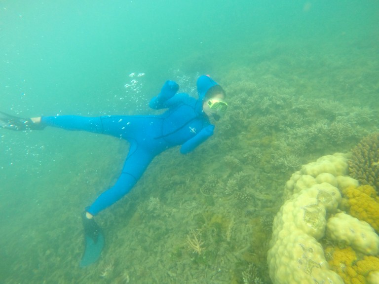 I cant even explain the beauty of these reefs!