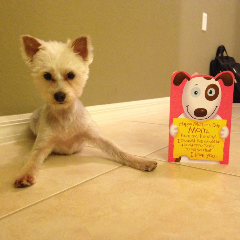 Tucker loves his mommy!