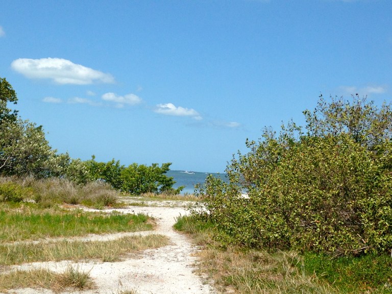 You will find the most gorgeous trails all throughout Picnic Island! Follow them, take that adventure, and see what you can find! 