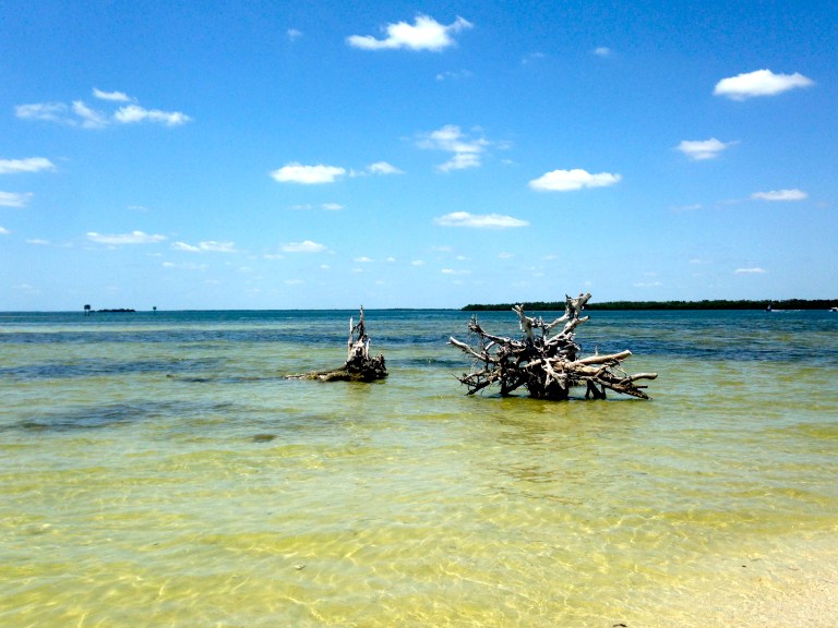 So much natural beauty to be found with every turn.