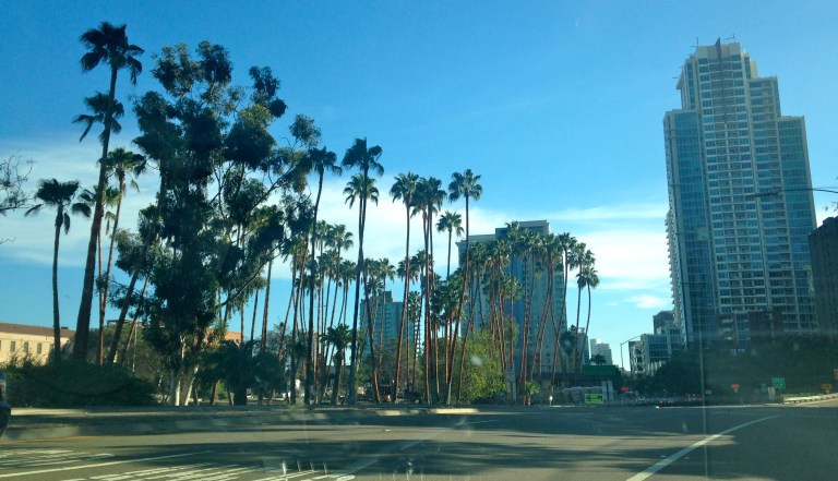Our first view driving into SAN DIEGO! This is actually a block from our condo! We can walk here in 2 seconds! It's beautiful!