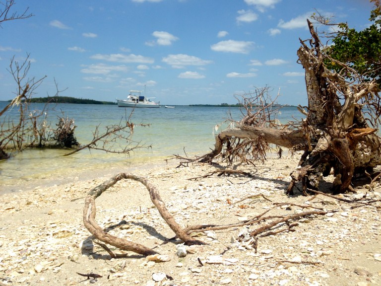 JUNE: Picnic Island in SWFL! Such a beautiful boating day with old co-workers